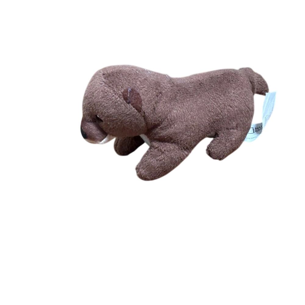 National Geographic Kids Small Plush Eurasian Otter Stuffed animal